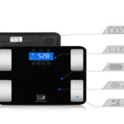 body-fat-scale5