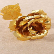 golden-rose3